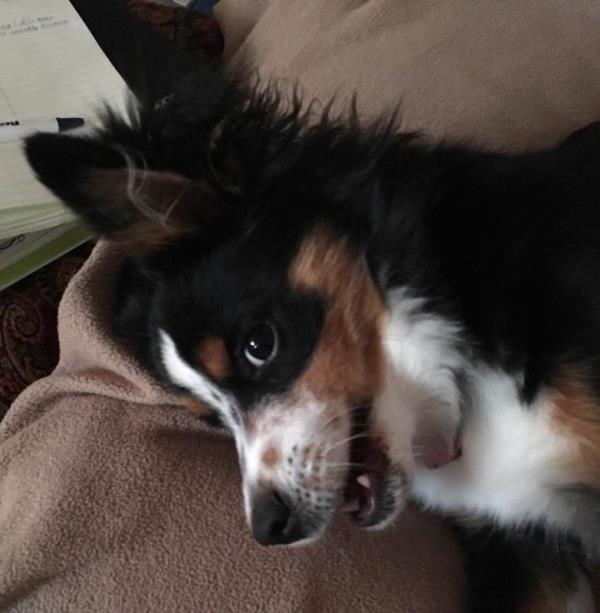 /Images/uploads/Humane Society of Utah/HSUCalendar/entries/792thumb.jpg